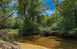 0 Alabama HWY 60, Moundville, AL 35474