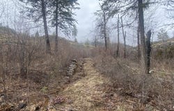 TRACT 2 COWBOYS AND ANGELS AVE, KETTLE FALLS, WA 99141