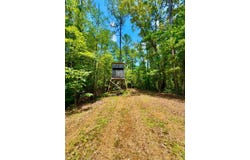 0 County Road 2, Double Springs, AL 35553