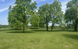 23350 Coombs Road, Hillman, MI 49746