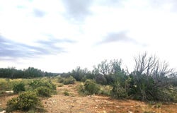 5075 Sidlyn Road, Heber, AZ 85928