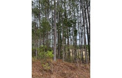 00 Bloomfield Road, Preston, MS 39354