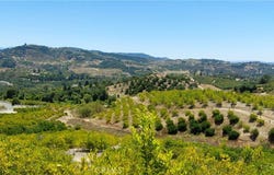 5 De Anza Road, Temecula, CA 92590