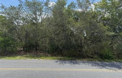 Tbd LOCUST LANE PASS, OCALA, FL 34472