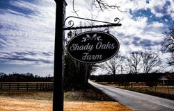 0 County Road 681, Saltillo, MS 38866
