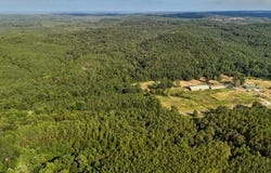COUNTY ROAD 63 N, Carbon Hill, AL 35549
