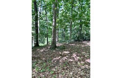 Lot 15 The Village at Laurelwood, Nancy, KY 42544