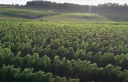 S French Road, Lake Leelanau, MI 49653