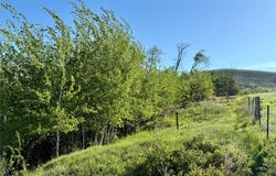 374 Eder Lane, Garrison, MT 59731