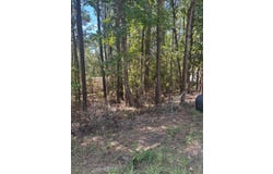 122 Oriole Dr, Brookeland, TX 75931