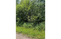 Tbd Haverkamp Road, Hibbing, MN 55746
