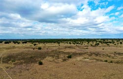 1588 County Road 118, Carlton, TX 76436