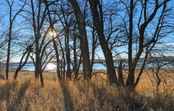 Leaf River Road, Ottertail, MN 56571