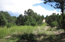 10433 NM 337 Highway, Tijeras, NM 87059