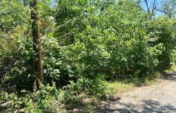 501 SW 15th Avenue, Mineral Wells, TX 76067
