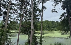 219 Lineman Way, Tunnel Hill, GA 30755