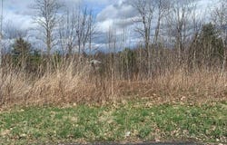 L14 Eastview Drive, Ravena, NY 12143