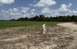 0 Hwy 135, Mangham, LA 71259