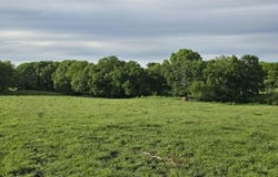 State Highway N, Clinton, MO 64735