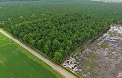 Saintsville Road, Greenville, NC 27834