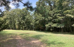 TBD Polk Road 136, Cove, AR 71953-9999