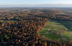 595 Needmore Road, Evening Shade, AR 72577