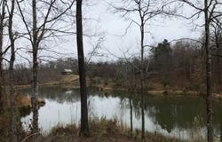 5455 Richard Travis Rd, Lexington, MS 39095