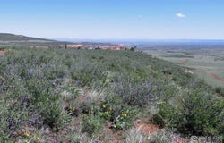 Livermore, CO 80536