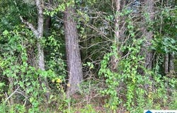 3080 EASONVILLE ROAD, PELL CITY, AL 35128