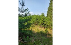 0 275th Avenue, Holcombe, WI 54745