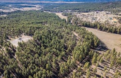 5561 County Road 228, Durango, CO 81301