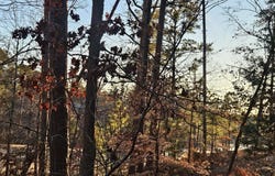 Amelia, McCormick, SC 29835