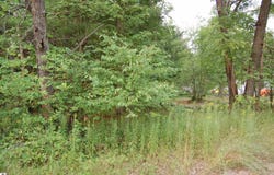 LOT 21-22 George Street, Prescott, MI 48756