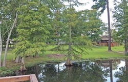 2032 James Loop Road, Manning, SC 29102