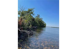 Pine Island, Isle, MN 56342