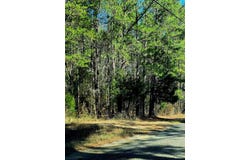 Ozark, AL 36360