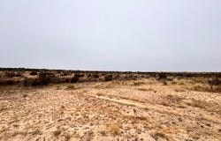 Larry Tubb Rd, Big Spring, TX 79720