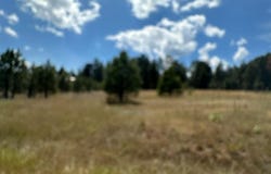 272 Hills Circle, Pagosa Springs, CO 81147