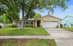 2815 LINDEN TREE Street, SEFFNER, FL 33584