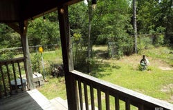 31344 Makani Hill Road, Seminole, AL 32571