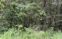 001 Clark Lane, Horseshoe Bend, AR 72512