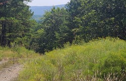 232 Stone Creek II Hunt and Linger, Panola, OK 74578