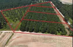 0 Chappel Road, Waynesboro, GA 30830