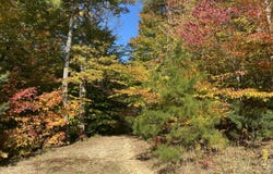 431 Harold Luke Road, Campton, KY 41301