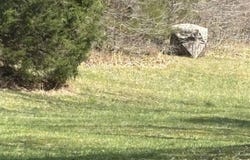 1602 Casey Fork Cook Road, Edmonton, KY 42129
