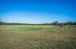 Ora Asa Johnson Rd., Harleton, TX 75651