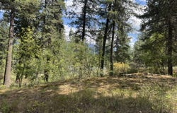 NHN Cornerstone Road, Thompson Falls, MT 59873