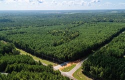 Fortune Hole Road, Hamilton, GA 31811