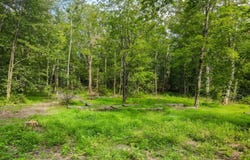 Florence Ln, Andover Twp., NJ 07860