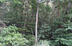 0 Wohalie Lane, South Pittsburg, TN 37380